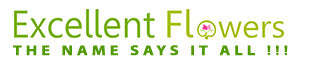 Excellent Flowers  Inc Logo