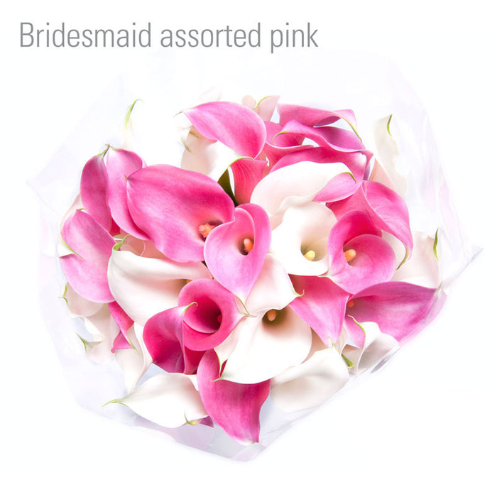 Assorted Pink Callas