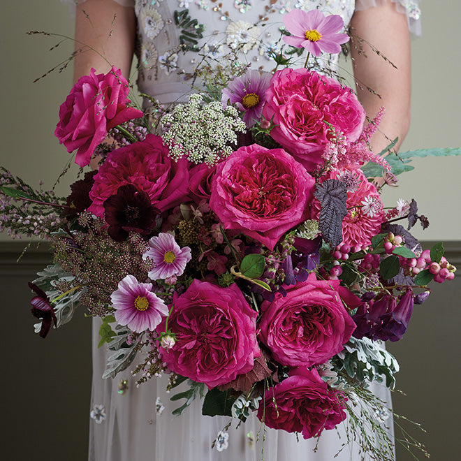 garden roses