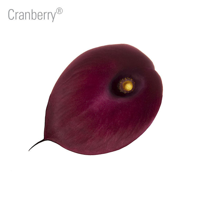Cranberry