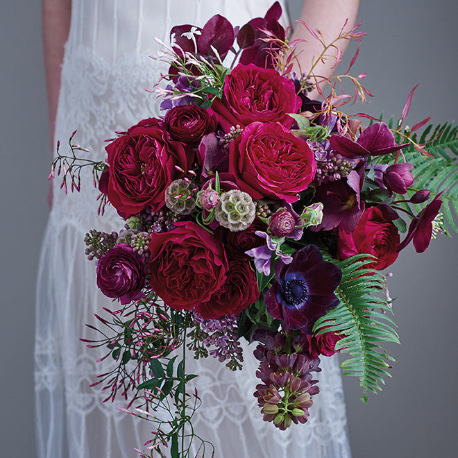 garden roses