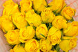 ecuadorian roses