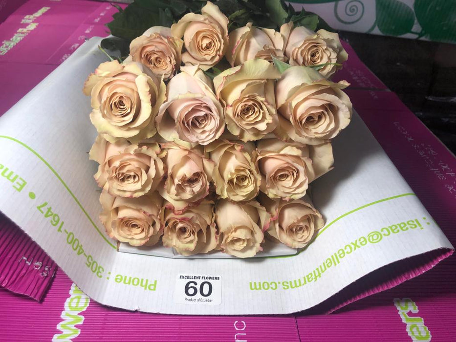 ecuadorian roses