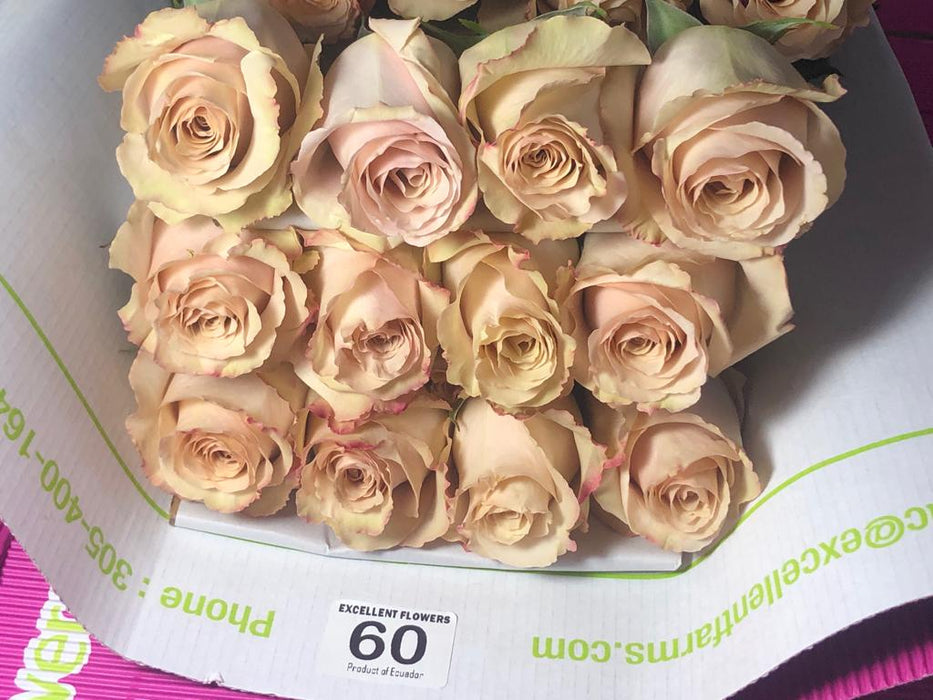 ecuadorian roses