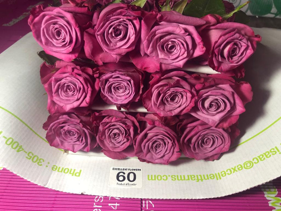 ecuadorian roses