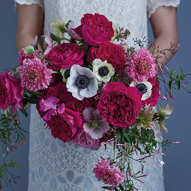 Garden roses