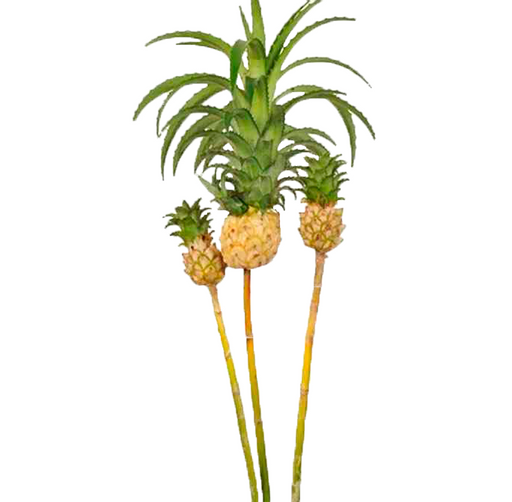 Mini Pineapple White
