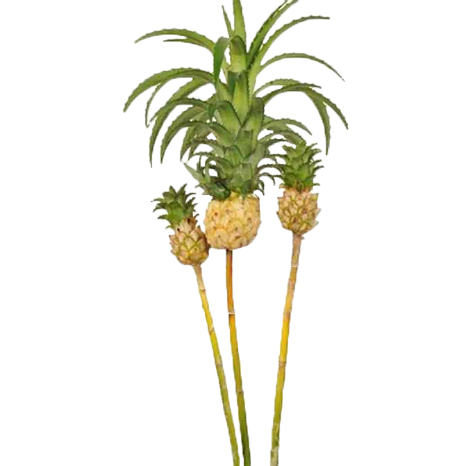 Mini Pineapple White