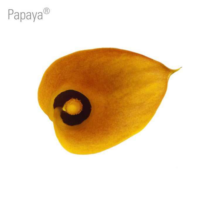 Papaya