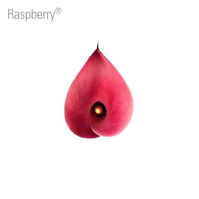 Raspberry Callas