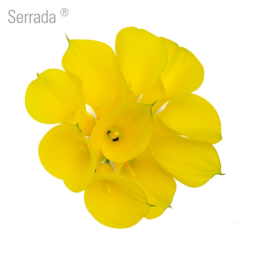 Serrada Callas