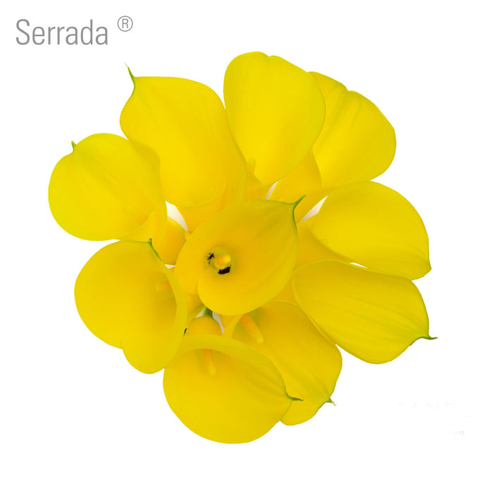 Serrada Callas
