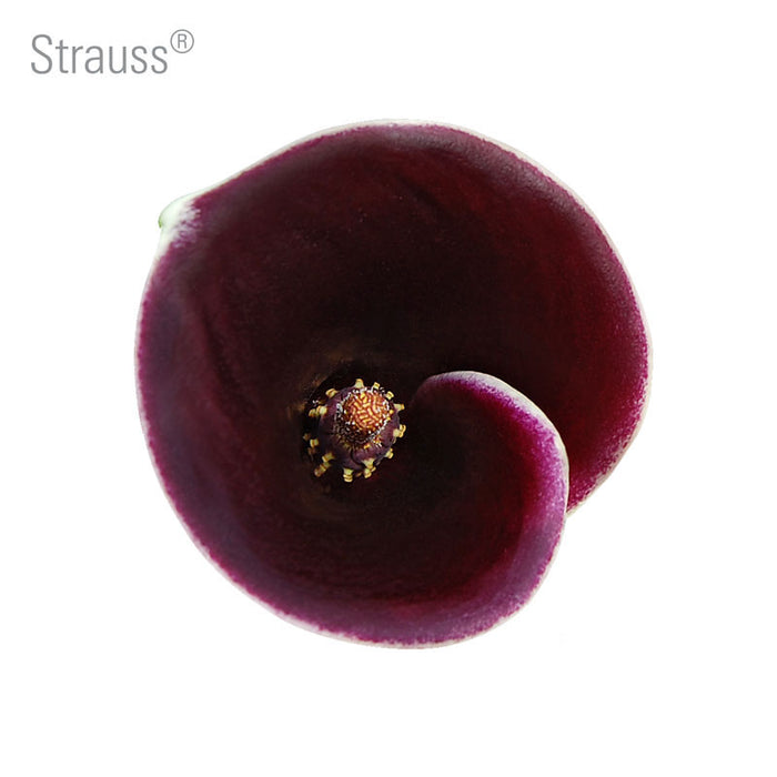 Strauss Callas