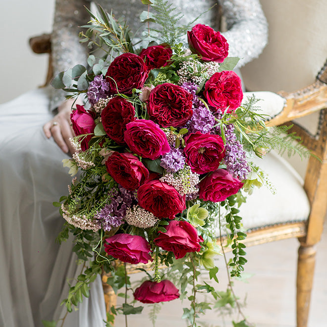 Tess garden roses