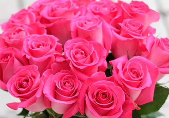 Topaz rose
