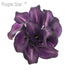 Purple Star Callas