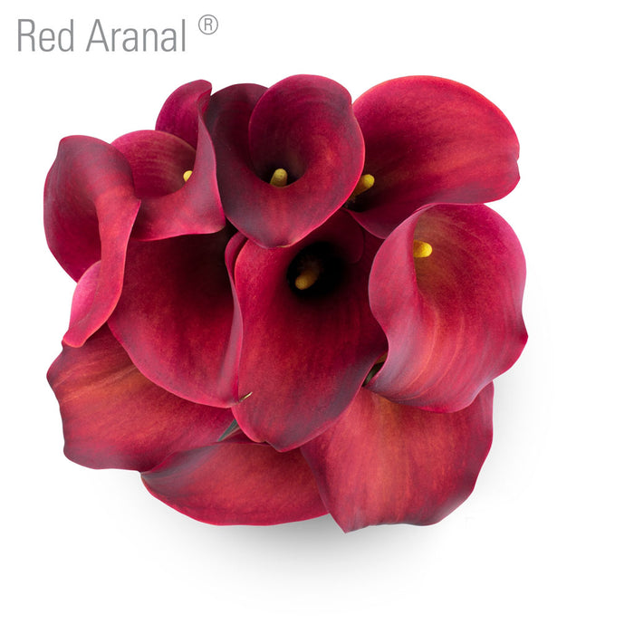 Red Aranal