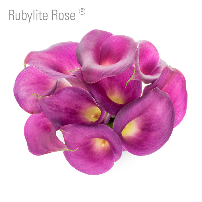 Rubylite Rose 