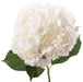 Hydrangea White Premium